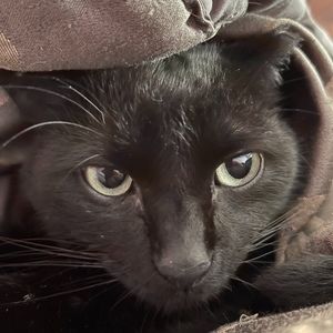 Meet your Posher, Gianna